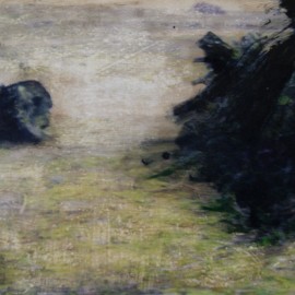 Bois noir – 2012 – 50×75 cm