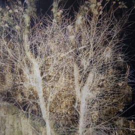 Dans une forêt froide – 2011 – 65×50 cm