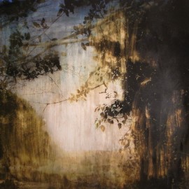 Wilderness – 2013 – 90×90 cm